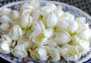 Flor de izote